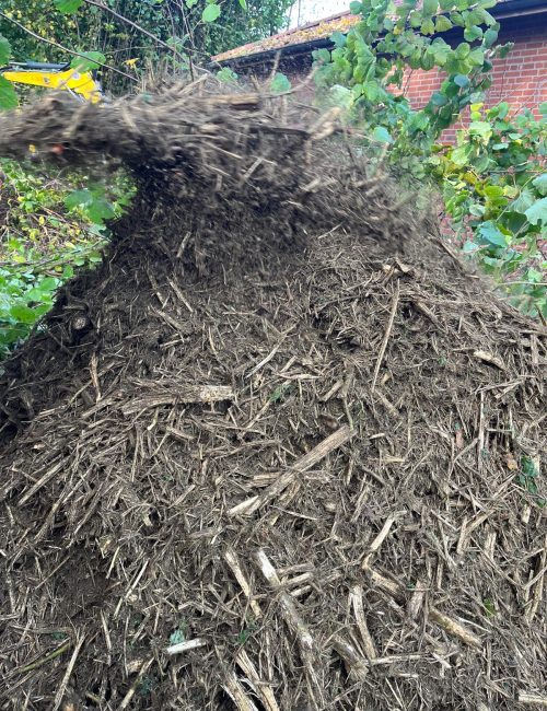 Gewinnung Rindenmulch